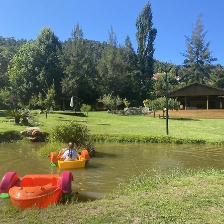 Quinta Da Vinha Do Souto Villa Arouca Exterior photo